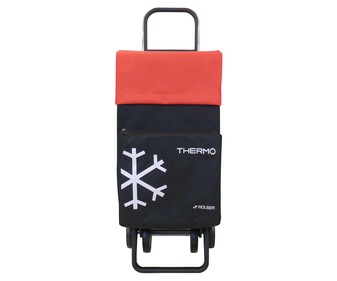 Carro de compra 4 ruedas plegable