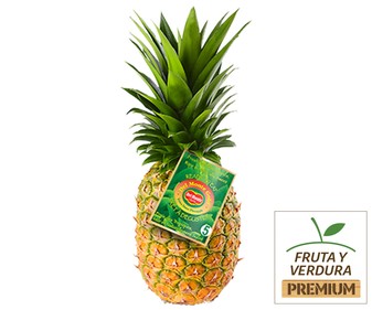 Piña del Monte PREMIUM