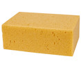 Esponja 