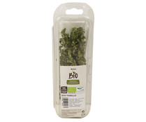 Tomillo PRODUCTO ALCAMPO 20 g..