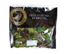Ensalada trio de brotes de lechuga roja, tatsoi y rúcula ALCAMPO GOURMET 100 g.