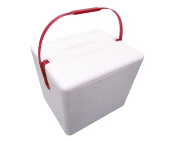 Nevera rígida 21l Nevera rígida 21l