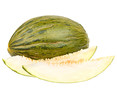 58772_1.jpg