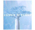 Mascarilla hidratación intensa con Biotina y esencia de Baobab PANTENE Hydra pro miracles 160 ml.
