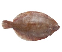 Lenguado 