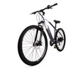 Bicicleta eléctrica 