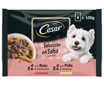 Comida para perros adulto CESAR 4 unidades de 100 gr