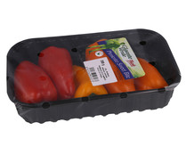 Pimientos de colores bandeja de 200 g