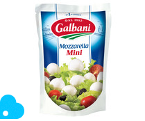 Mozzarella mini GALBANI 150 g.