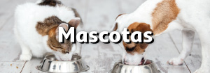 Mascotas