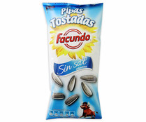 Pipas tostadas sin sal FACUNDO 100 g.
