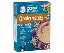 Papilla de avena integral con ciruela a partir de 6 meses GERBER 250 g.