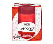 Vela vaso perfumada adiós moscas LUMAR GERANIO 125 g.