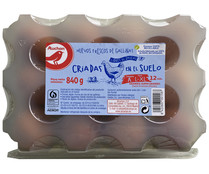 Huevos frescos de categoria A y clase L - XL PRODUCTO ALCAMPO 12 uds.