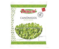 Canónigos DIQUESÍ, bolsa de 100 g.