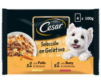Comida para perro adulto bocaditos de gelatina  CESAR 4 unidades de100 gr.