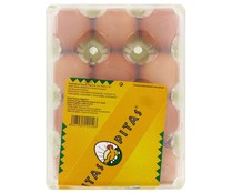 Huevos Clase L PITAS 12 Unidades