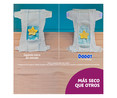 Pañales talla 5+ (12 - 17 kg) 96 uds