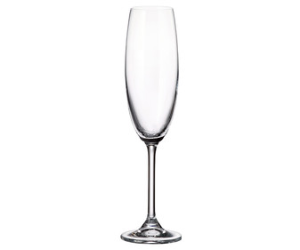 Copa flauta para vinos espumosos fabricada en Cristal de Bohemia, 0,22 litros, serie Colibri CRYSTAL BOHEMIA.