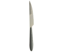 Cuchillo de sierra de acero inoxidable con mango de plástico color gris, ACTUEL.