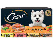 Comida para perro adulto a base de buey, pollo, aves y cordero CESAR 4 uds. de 150 g.