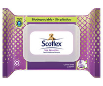 Papel higiénico húmedo SCOTTEX SPA SENSATION  66 uds.