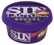 Crema de queso para untar azul FLOR DE BURGOS 100 g.