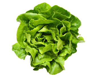 56656_1.jpg