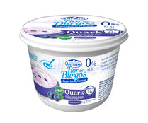 Queso fresco batido con yogur y arándanos (Quark) FLOR DE BURGOS 450 g.