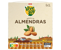 Bebida de almendras de cultivo 100% local VIVESOY de Pascual 6 x 1 l.