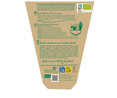 Cebollino eco maceta 