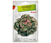 Sobre de semillas para sembrar lechugas de la variedad mantecosa cuatro estaciones PRODUCTO ALCAMPO.